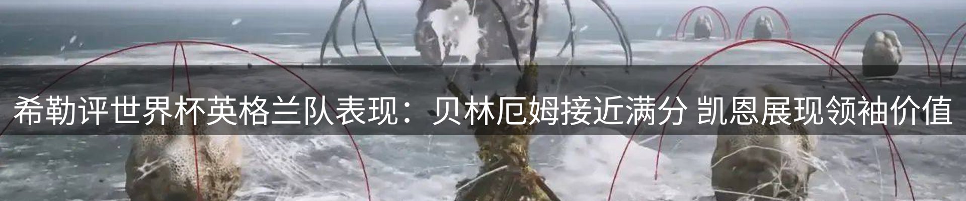 平台资讯
