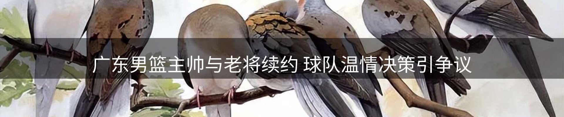 体育资讯