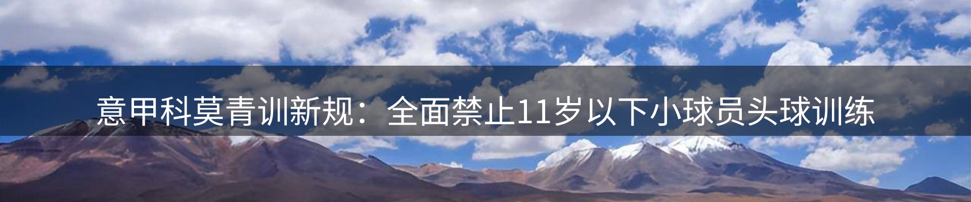 平台资讯