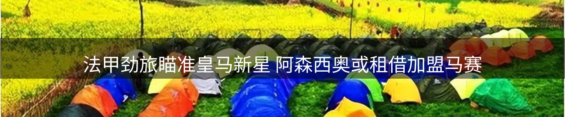 平台资讯