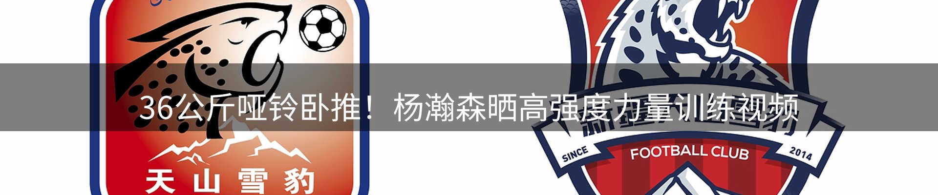 体育资讯